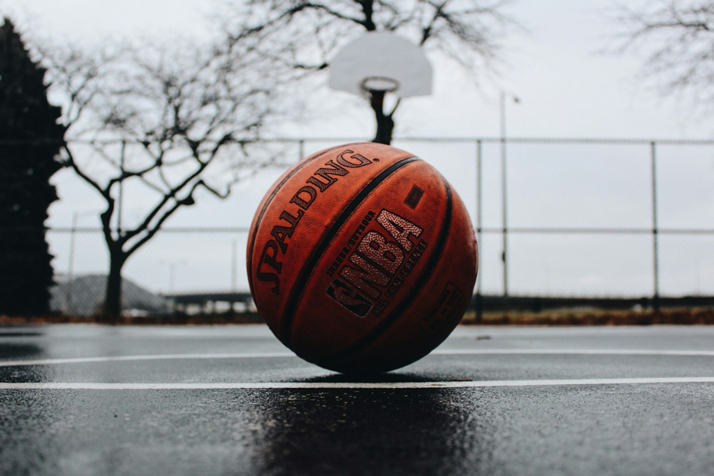A basketball hoop seen from the court